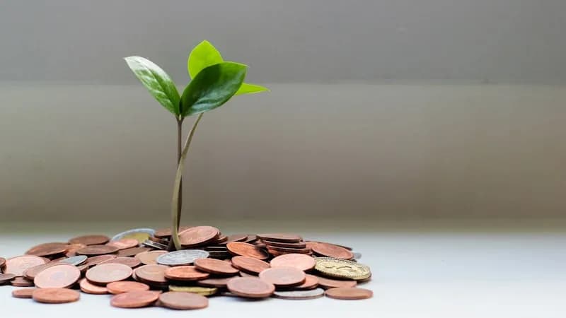 フランチャイズ開業資金の予算計画イメージ